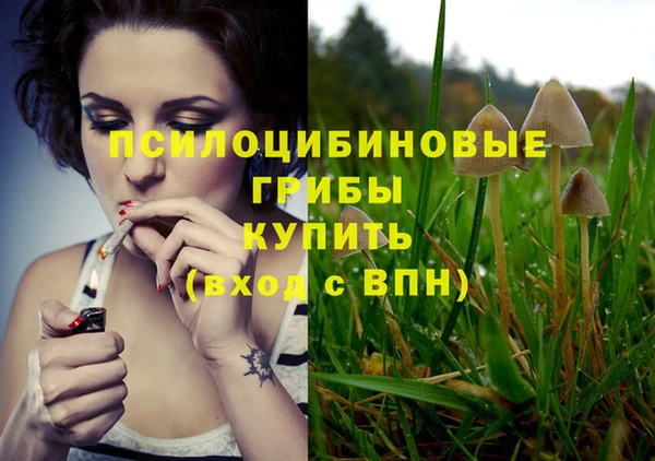 бошки Балабаново