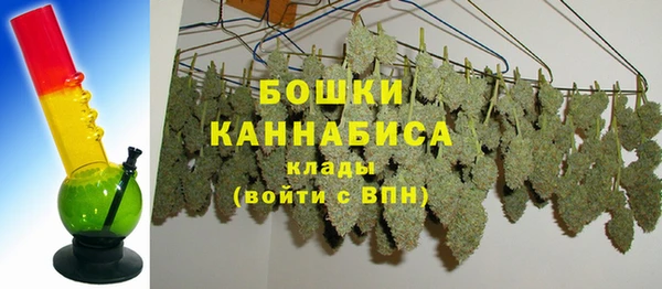трава Балахна