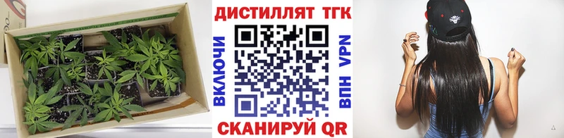 Дистиллят ТГК Wax  купить   Ульяновск 